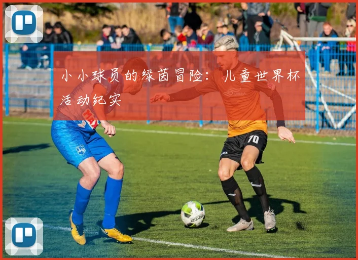 小小球员的绿茵冒险：儿童世界杯活动纪实