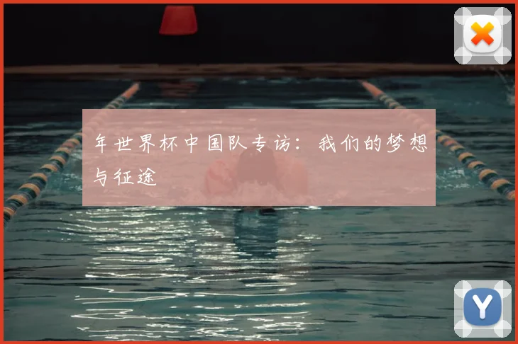 年世界杯中国队专访：我们的梦想与征途