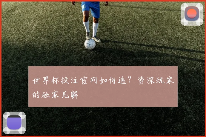 世界杯投注官网如何选?资深玩家的独家见解