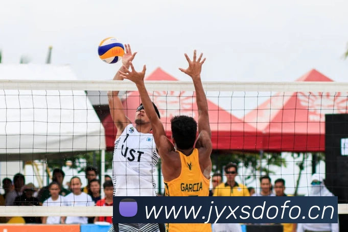 星空体育综合官网平台生态图